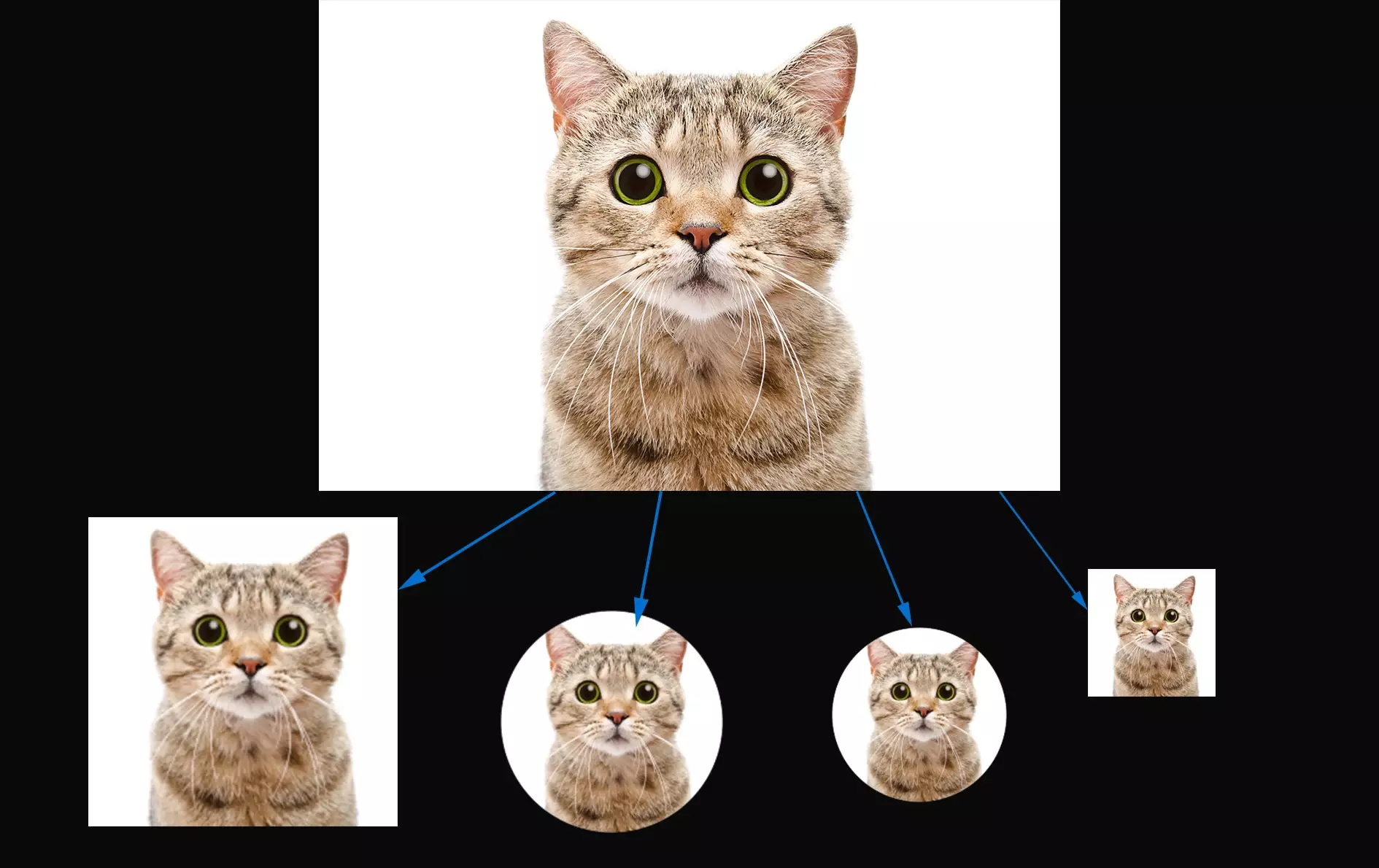 The different requests of transformations for a single image