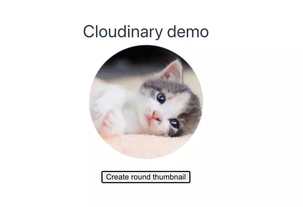 Cloudinary demo