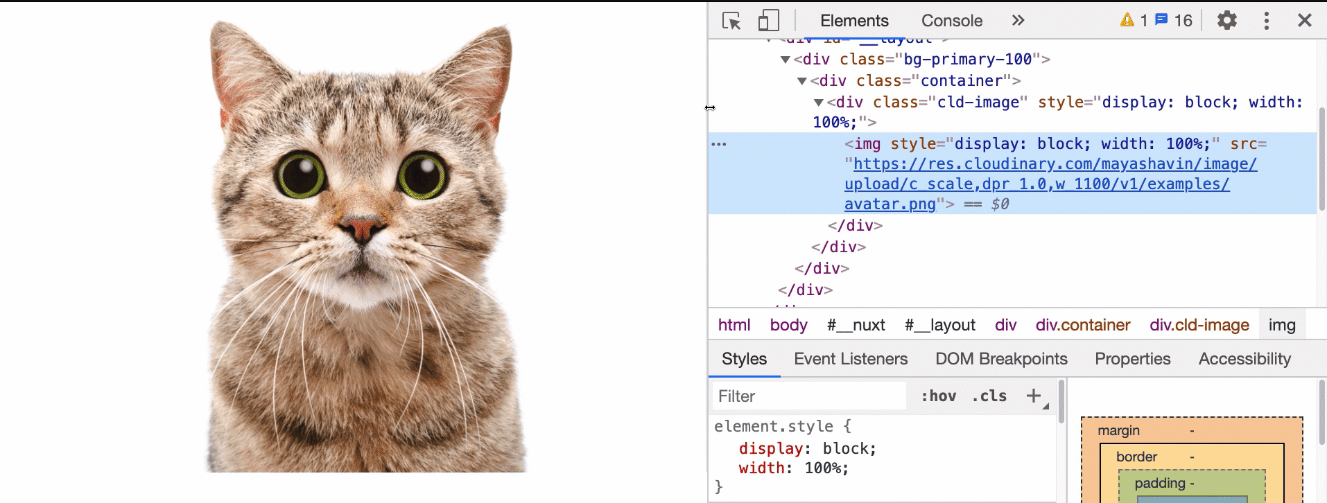 How Cloudinary image auto-resizes